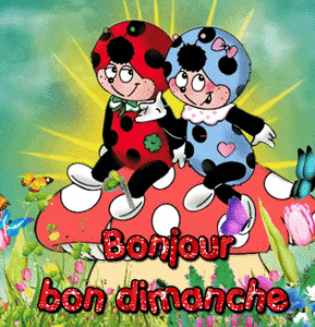 Gif animé bonjour Bon dimanche